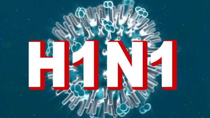 cúm A H1N1 là bệnh gì