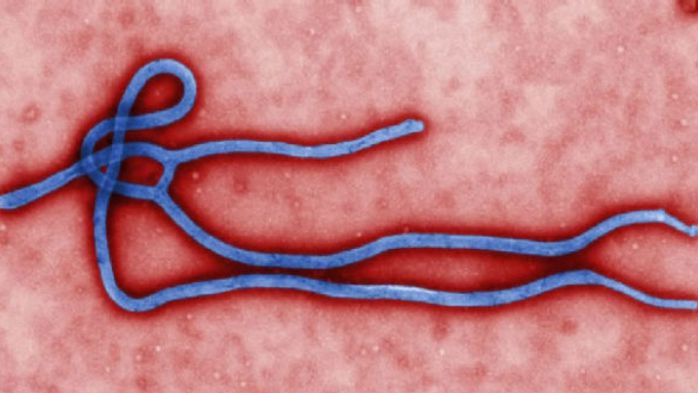 Virus Ebola là gì?
